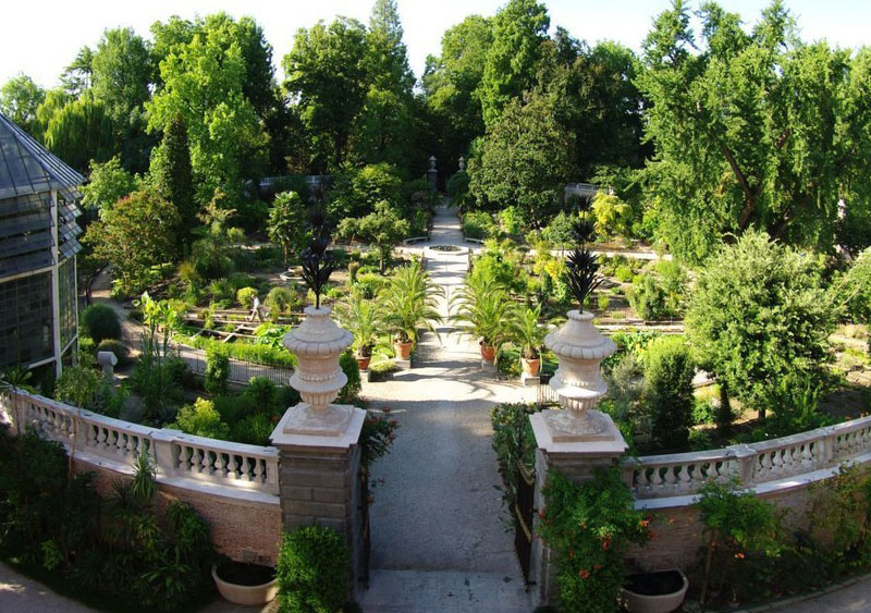 University’s Botanical Garden, Padua, Italy